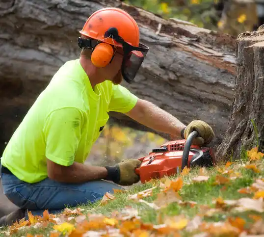 tree services Clovis